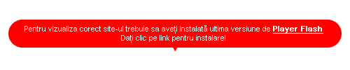 Instalati Flash Player