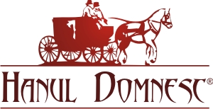 Sigla Hanul Domnesc