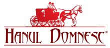 Logo Hanul Domnesc Logo Hanul Domnesc