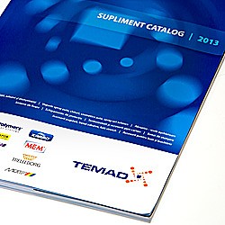 Catalog Temad 2013